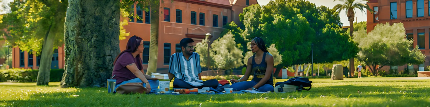 ASU Innovation Achievement