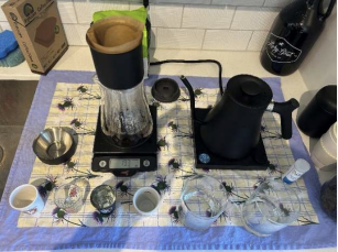 Coffee Results Table 2